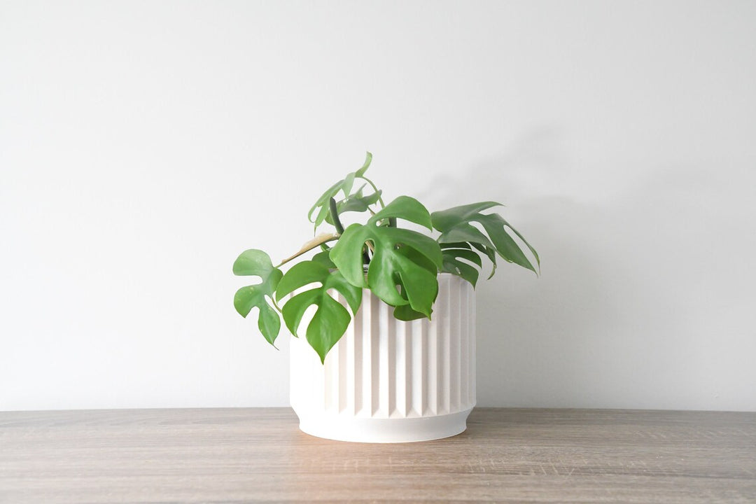 Spring Breeze Planter